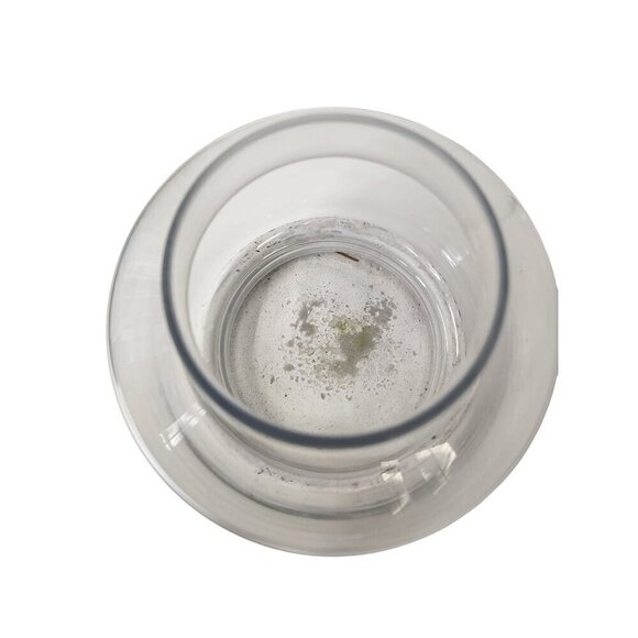 Glass Terrarium with White Concrete Base Modern Rustic Home Decor 8 Inches Tall - Picture 14 of 14